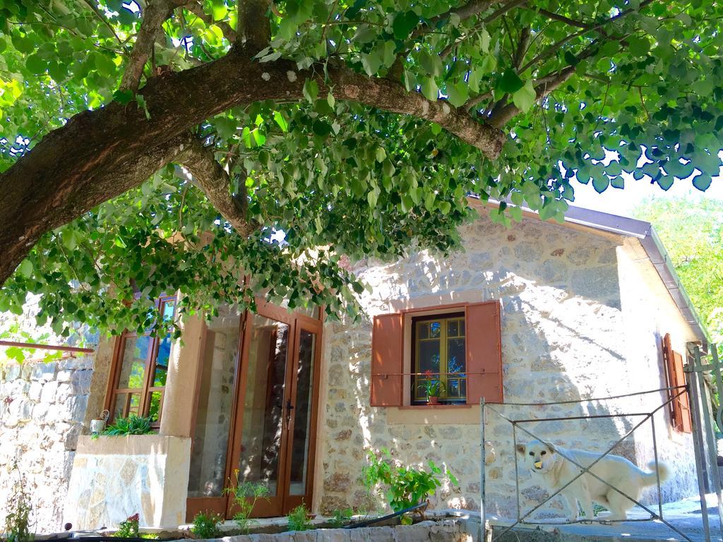 Ethno House Ivanovic Virpazar Exterior photo